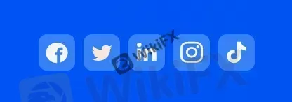 social media social media