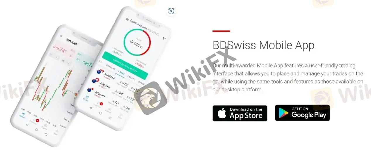 Mobile App Mobile App
