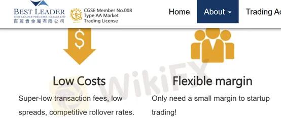 maximum leverage