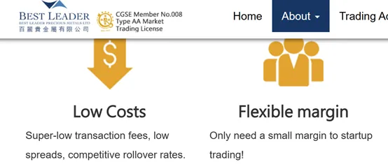 maximum leverage maximum leverage
