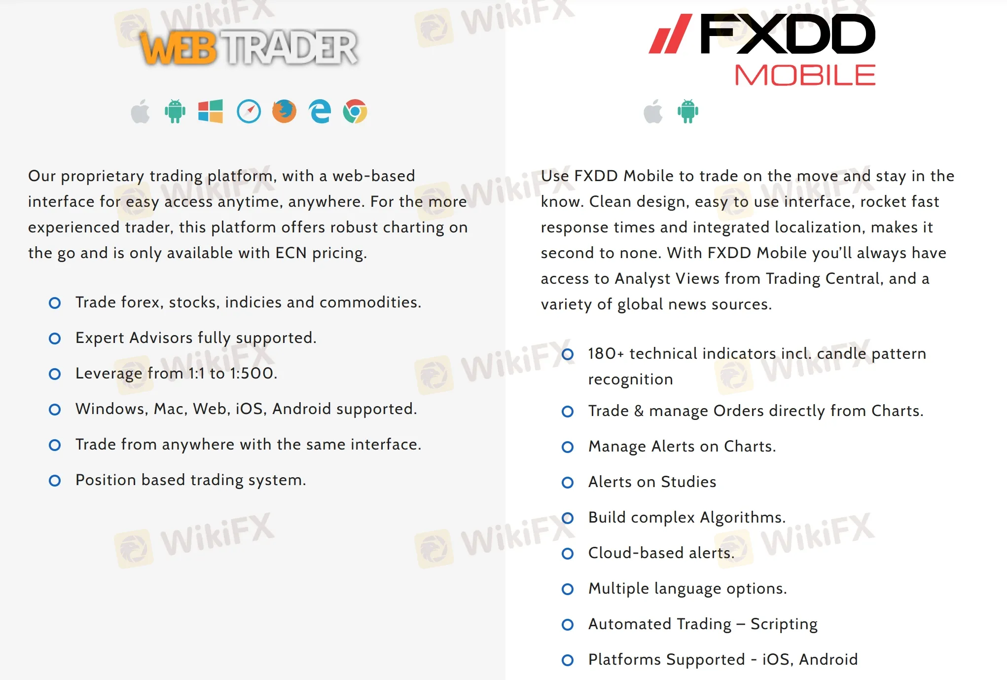 WebTrader/Mobile App