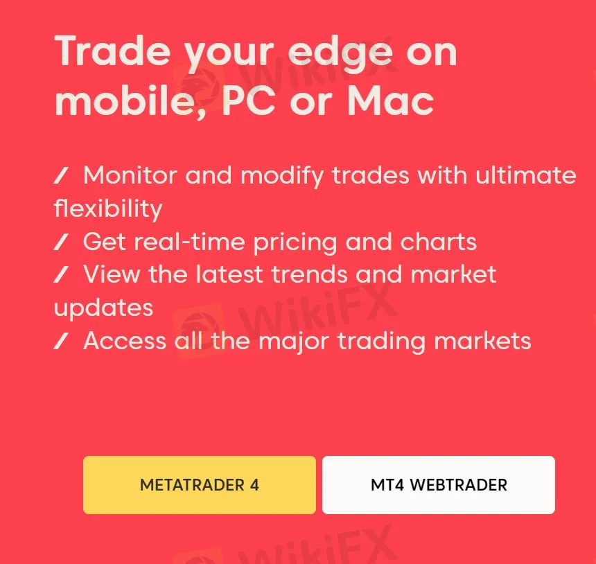 MT4