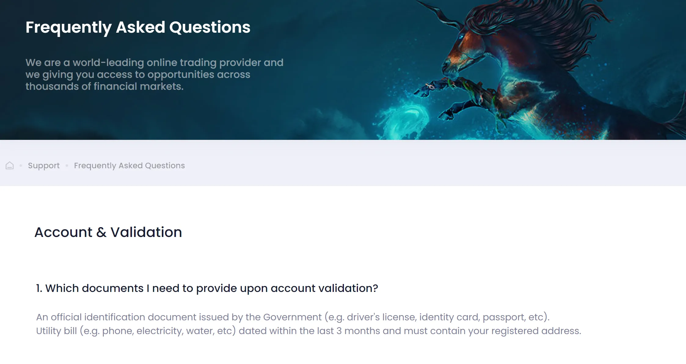 customer-support