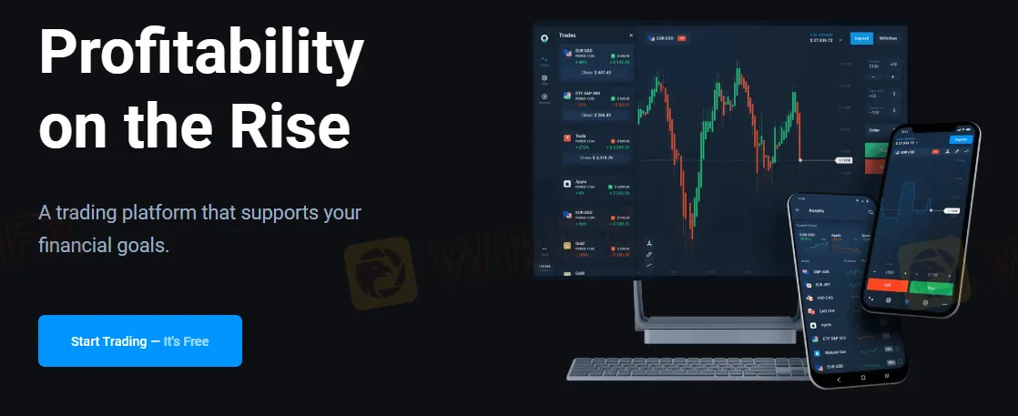 basic-info basic-info