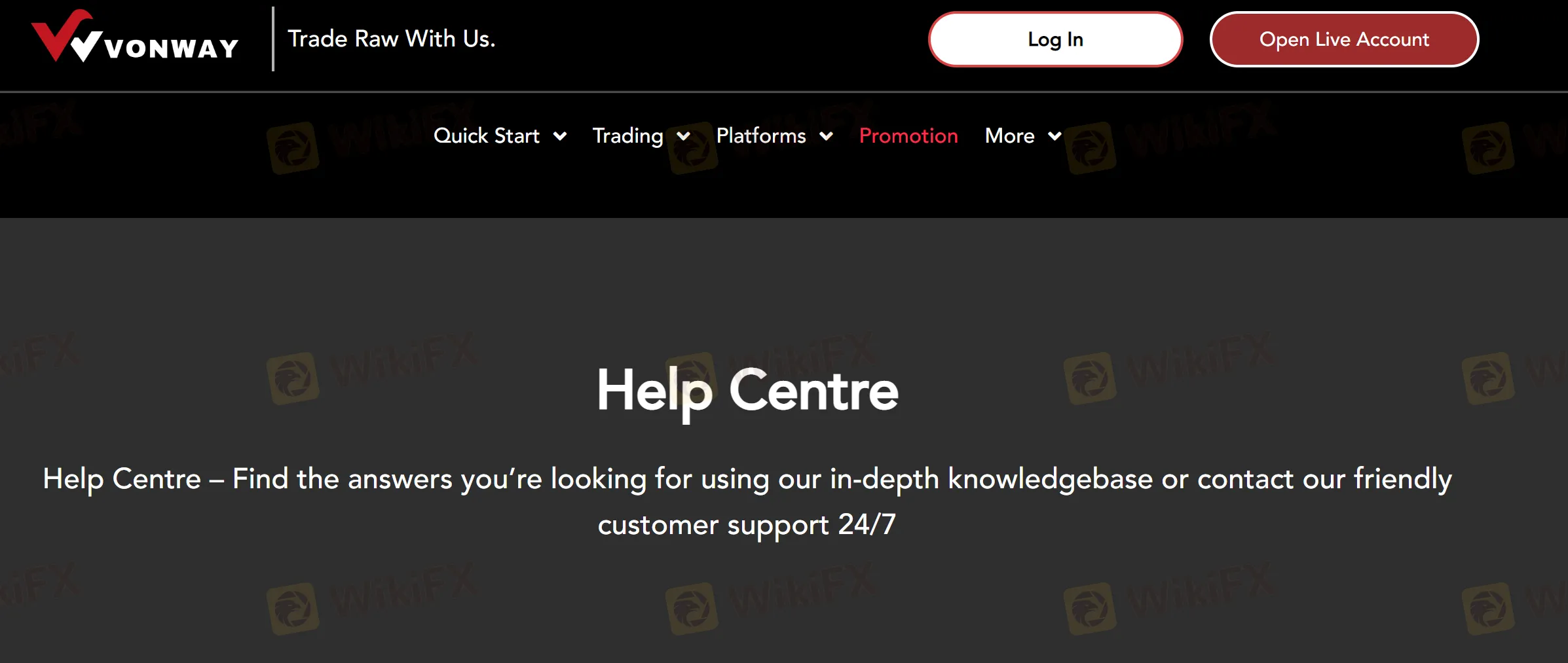 customer-support 