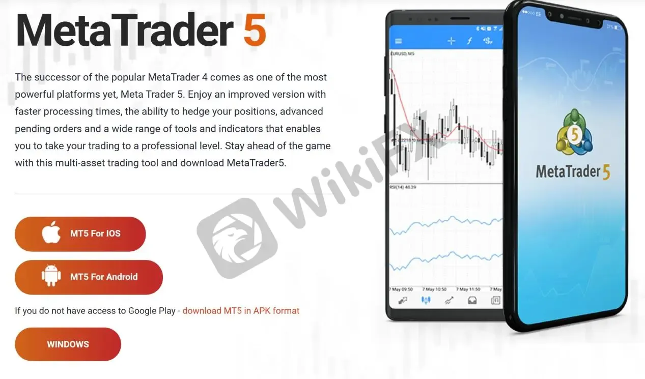 MT5