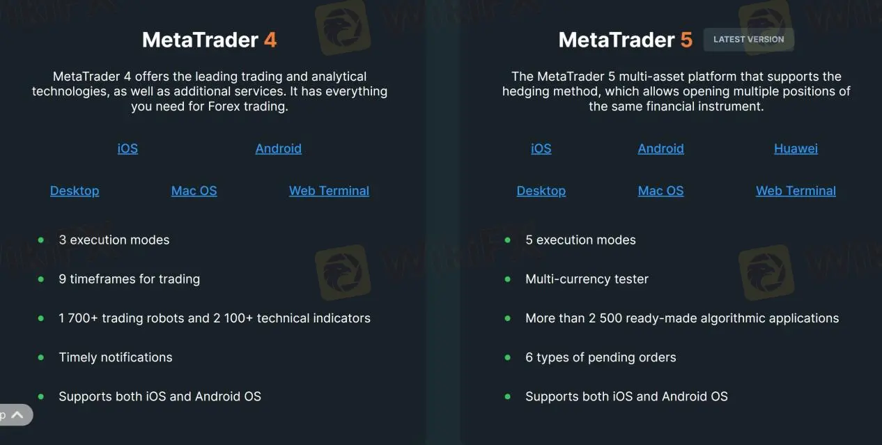 MT4 and MT5
