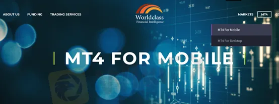 MT4 platform