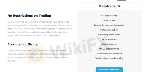 MT5 and Webterminal platforms MT5 and Webterminal platforms