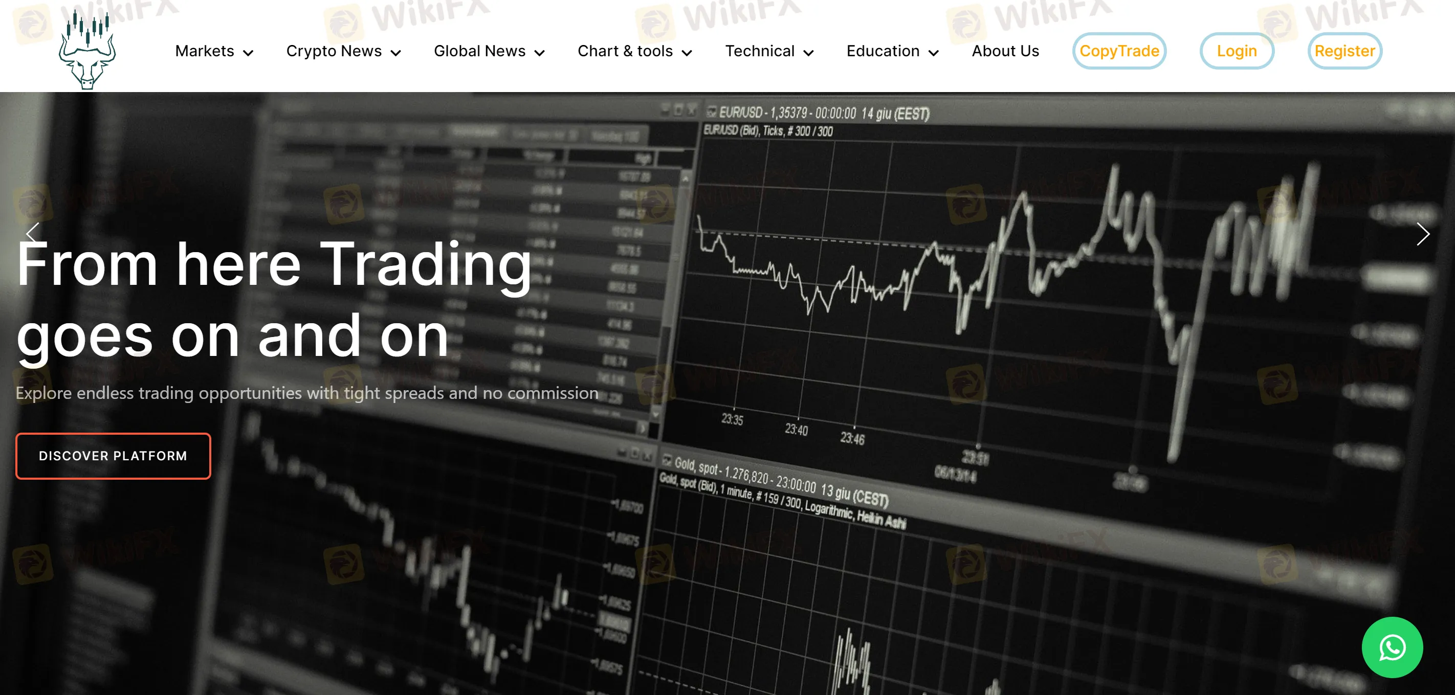 basic-info basic-info