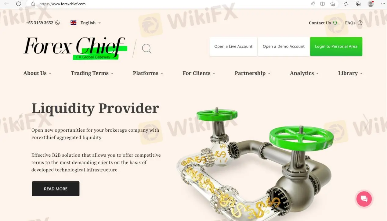 ForexChief's home page