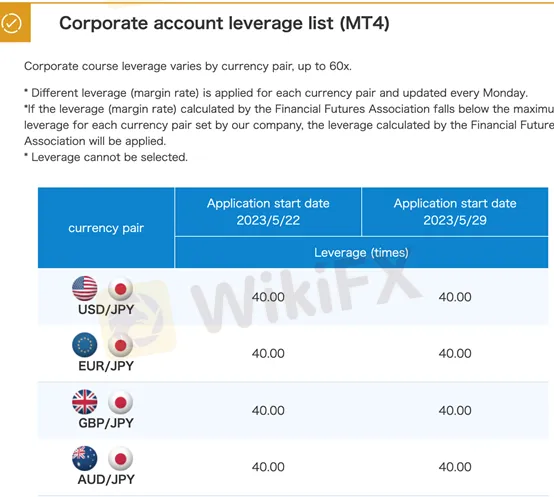 leverage leverage