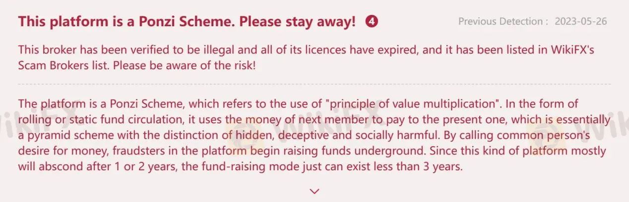 Ponzi Scheme