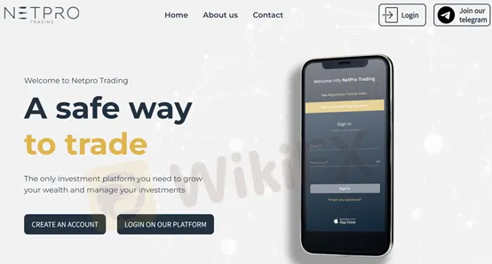 basic-info basic-info