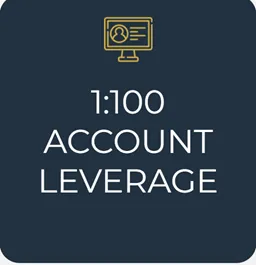 leverage