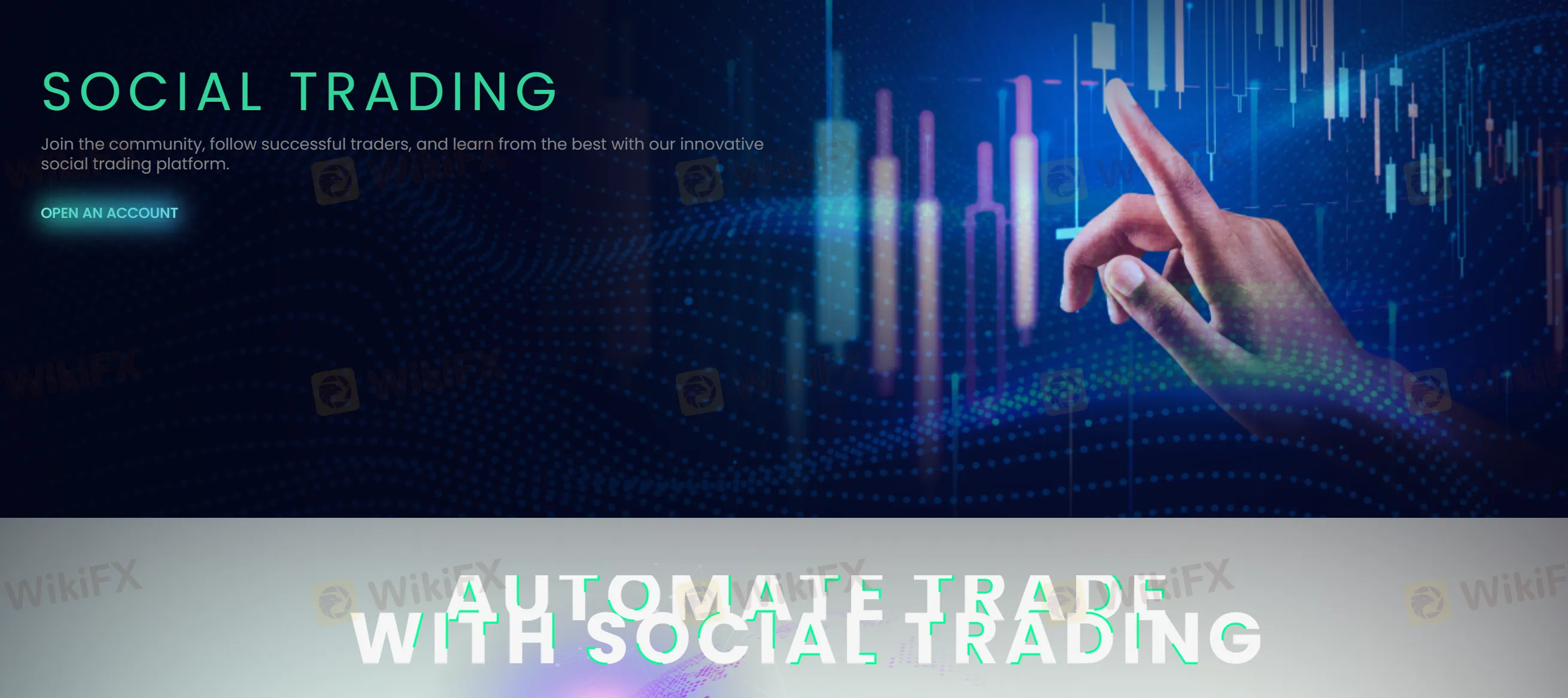 social-trading