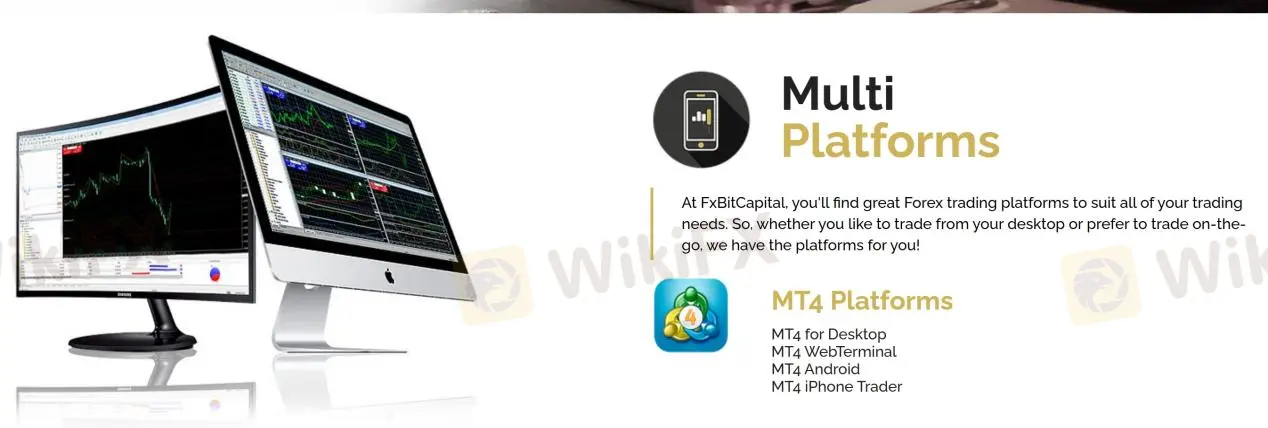 MT4
