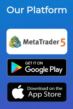 trading-platform trading-platform