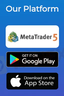 trading-platform trading-platform
