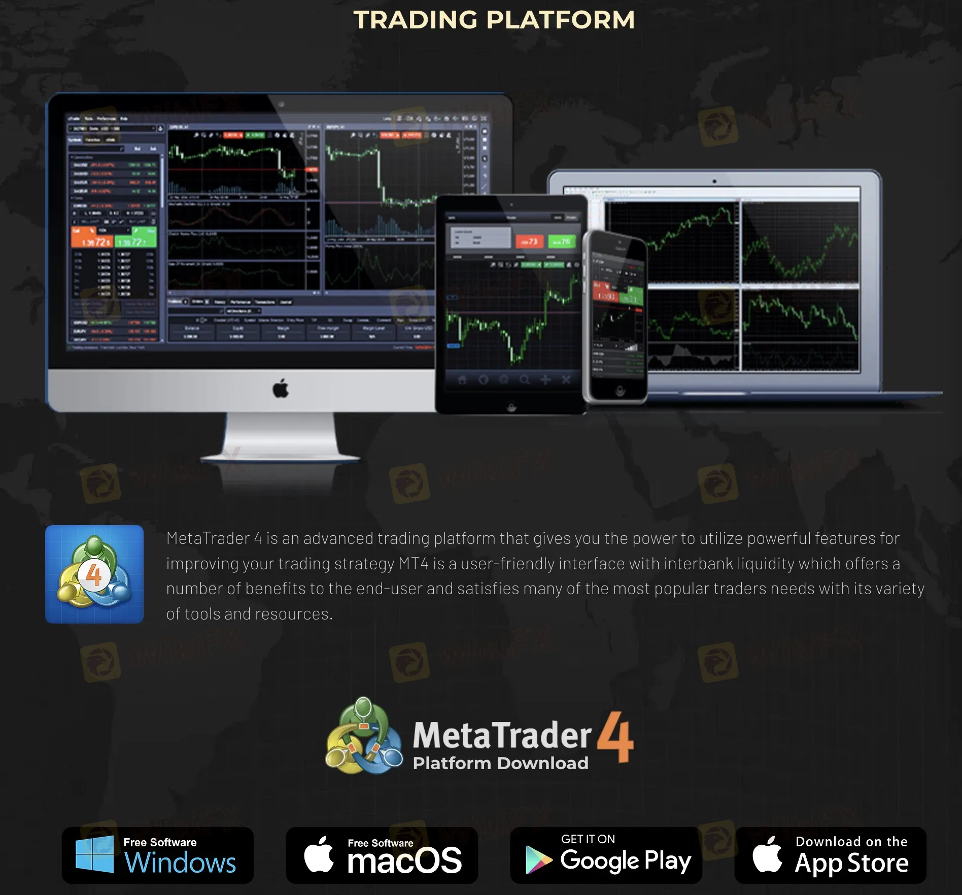 trading-platform trading-platform
