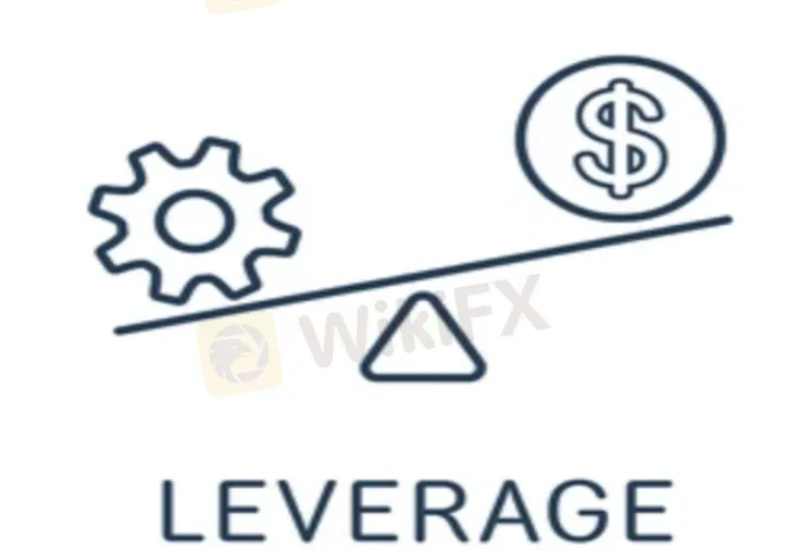 leverage