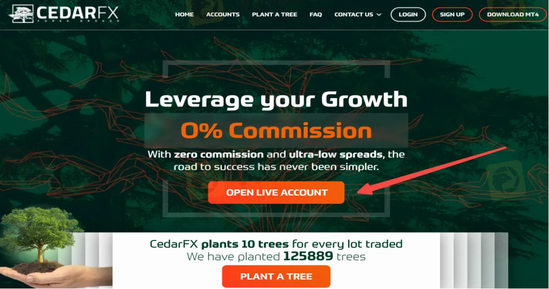 open-account