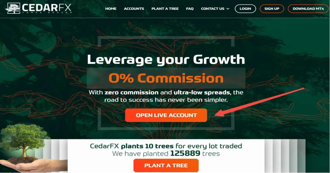 open-account
