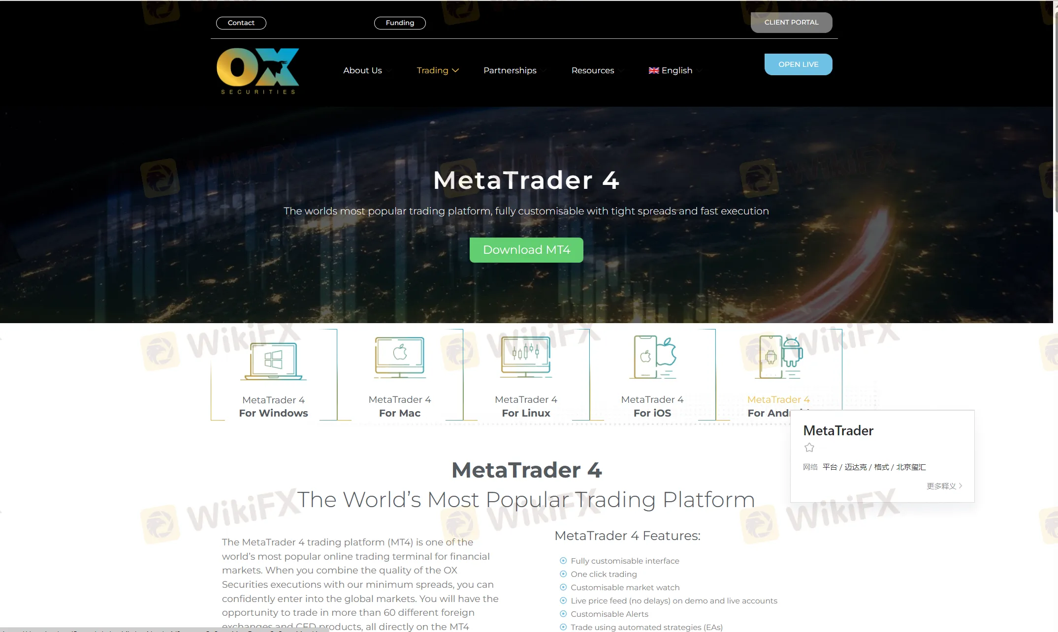 MT5