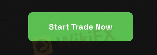 open-account open-account