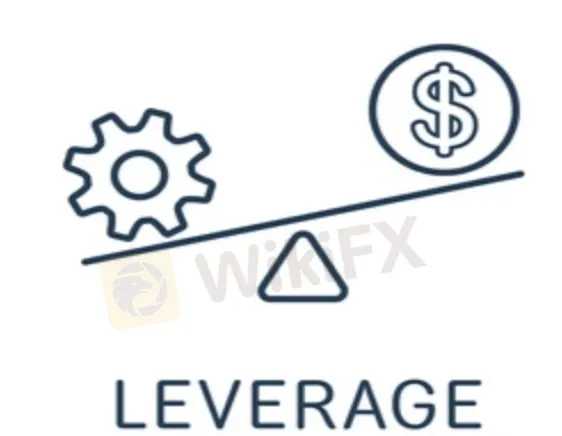 leverage