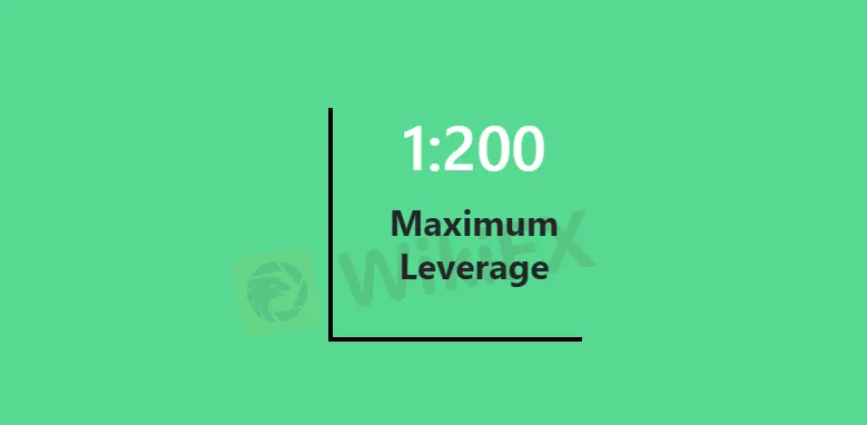 leverage 