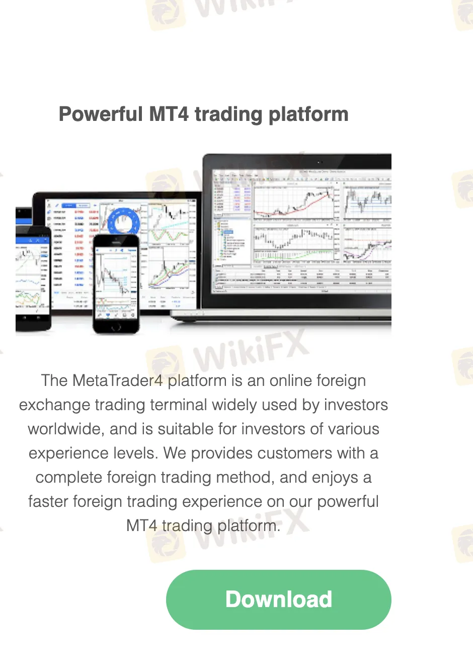 MT4 MT4