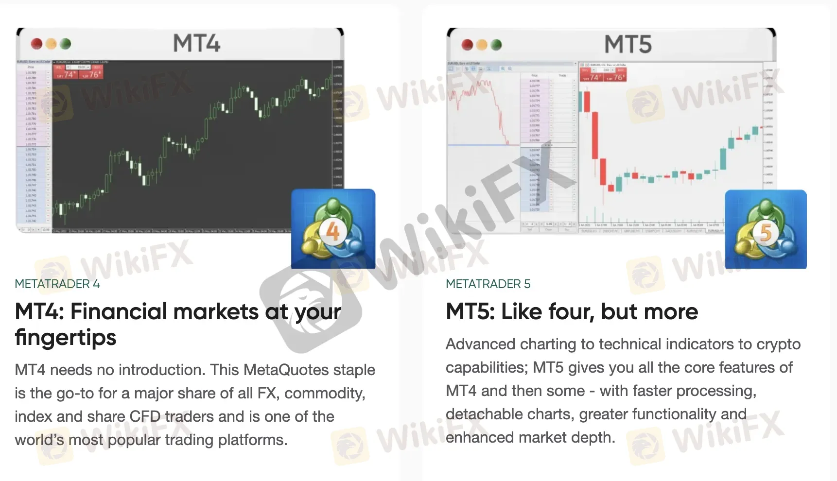 MT4/5 MT4/5