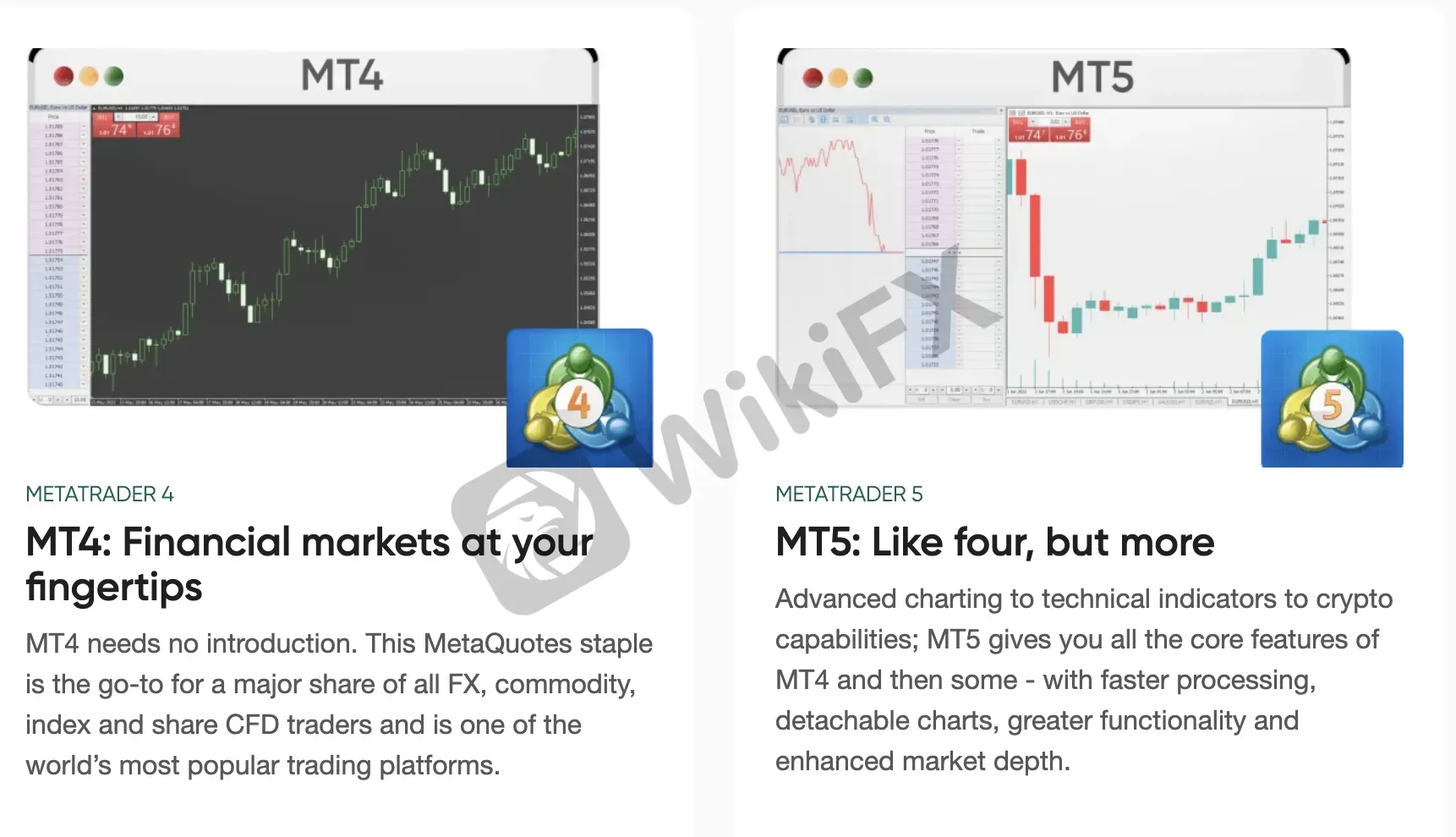 MT4/5
