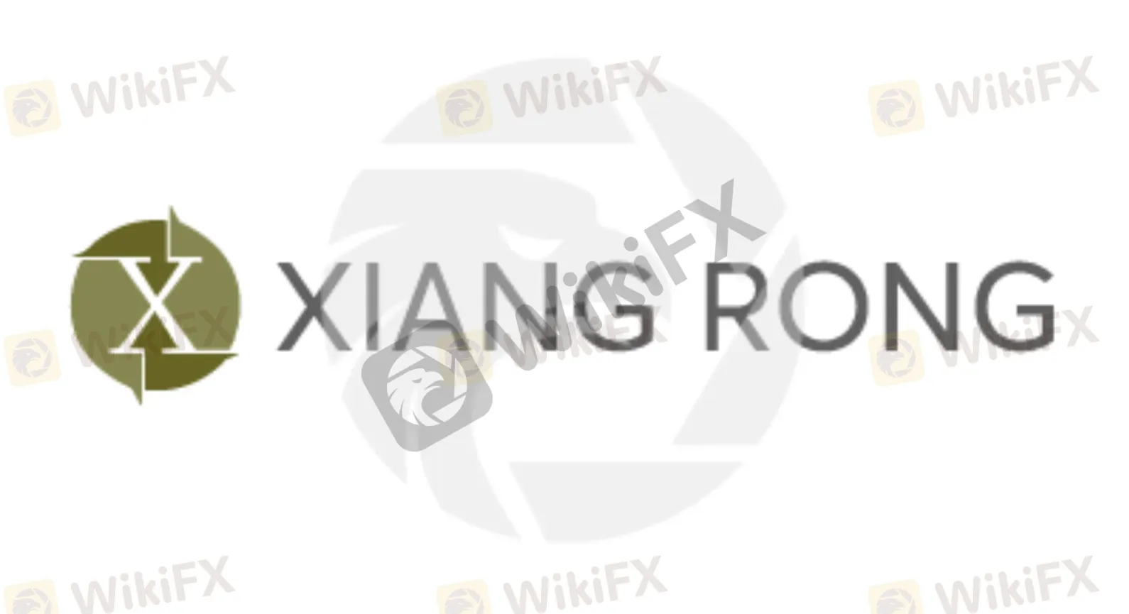 basic-info basic-info