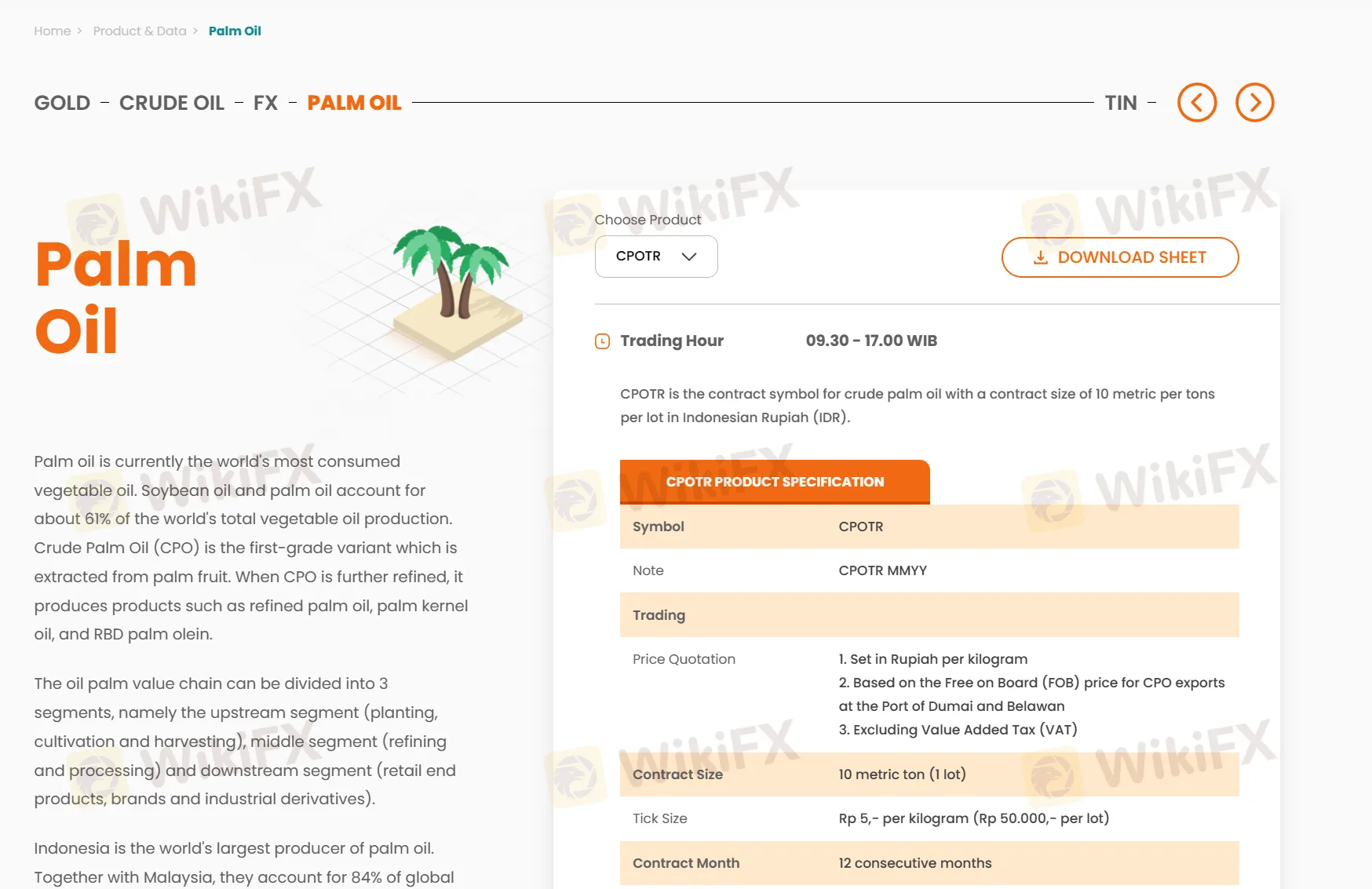 palm oil