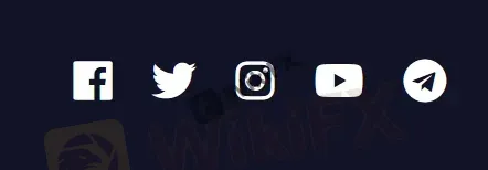 social networks
