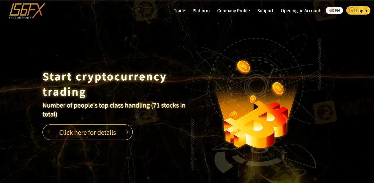 basic-info basic-info