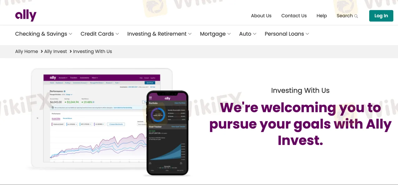 basic-info basic-info