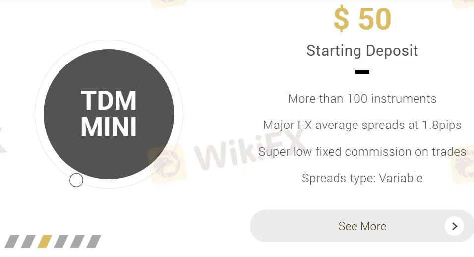 TDM Mini account