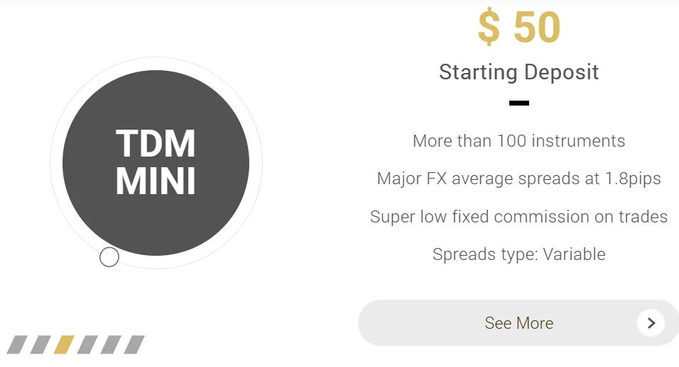 TDM Mini account TDM Mini account
