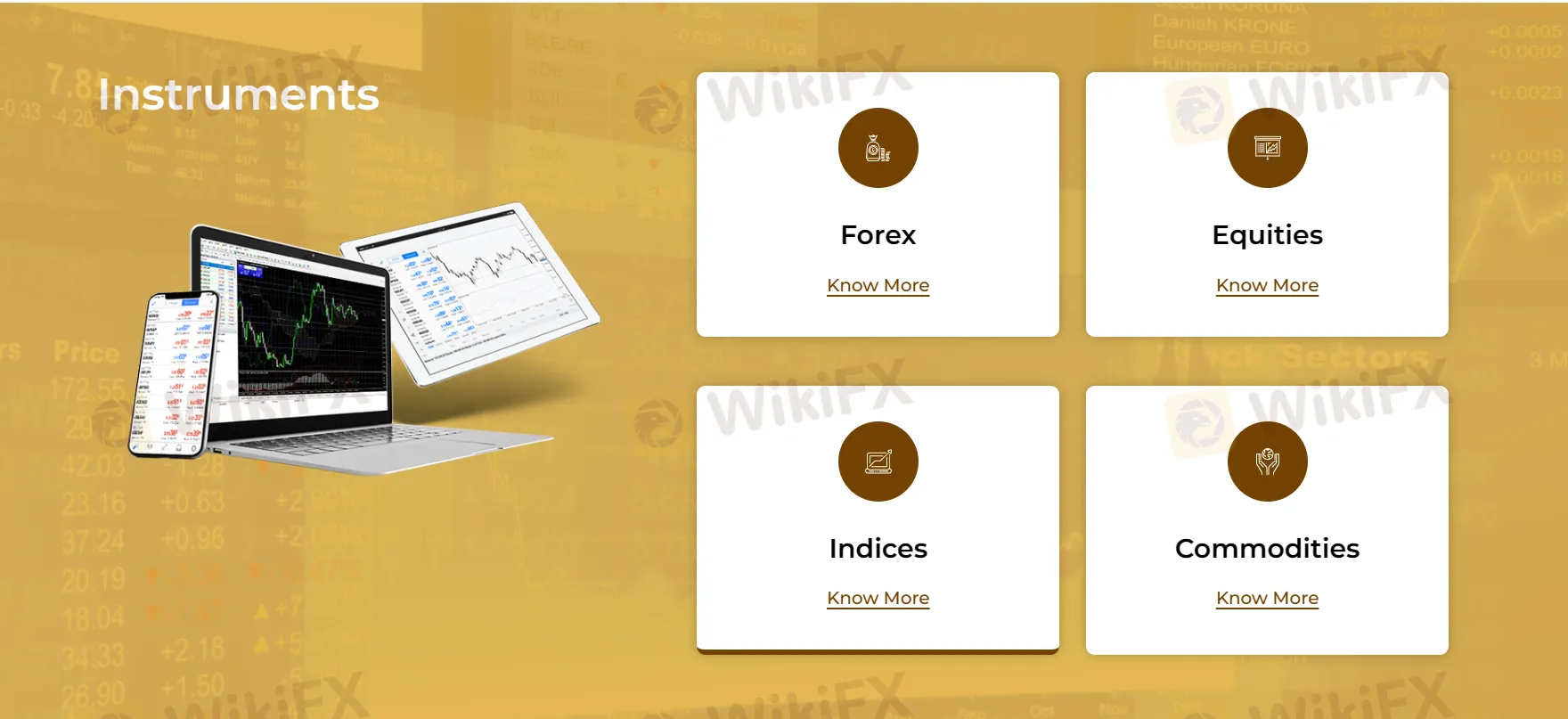 Market Instruments