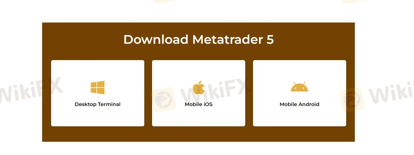 MT5