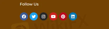 social networks