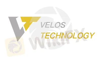 basic-info basic-info