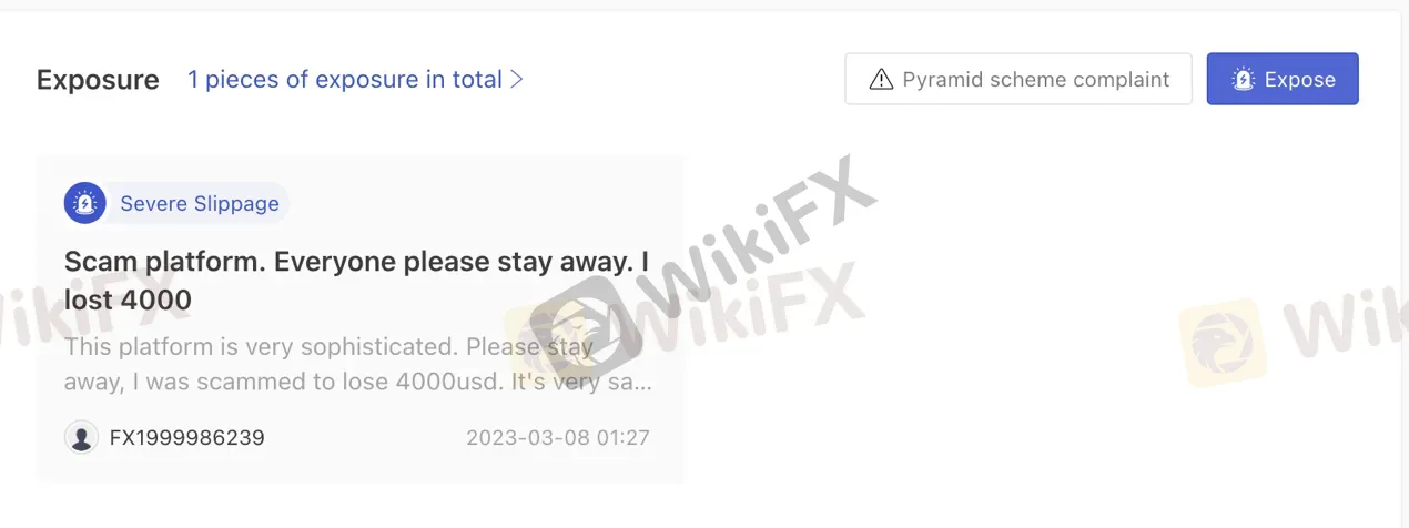 reviews reviews