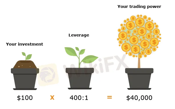 leverage leverage