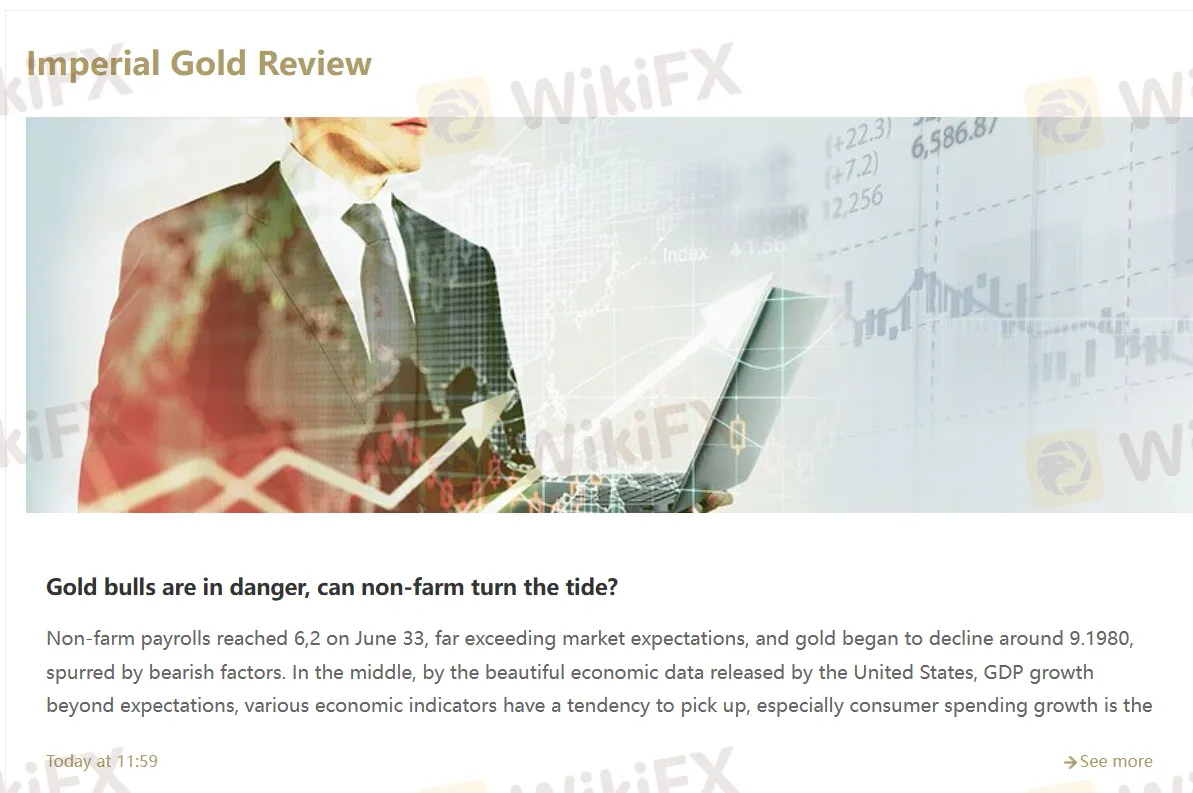 Bibgold Review