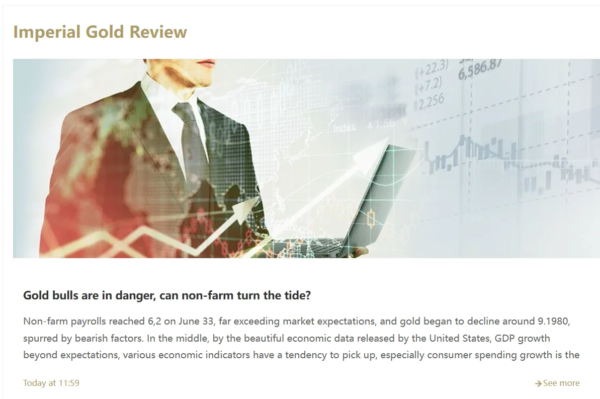 Bibgold Review Bibgold Review