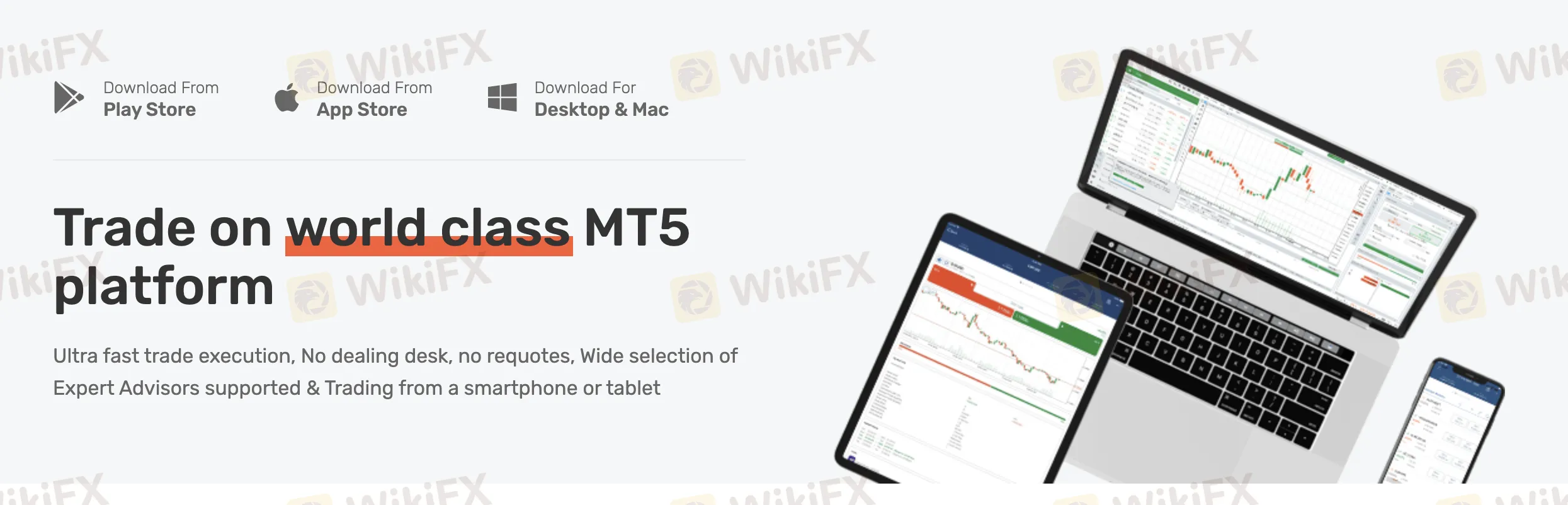 MT5